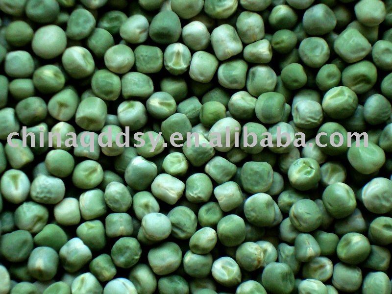 Green peas,China dsy price supplier - 21food