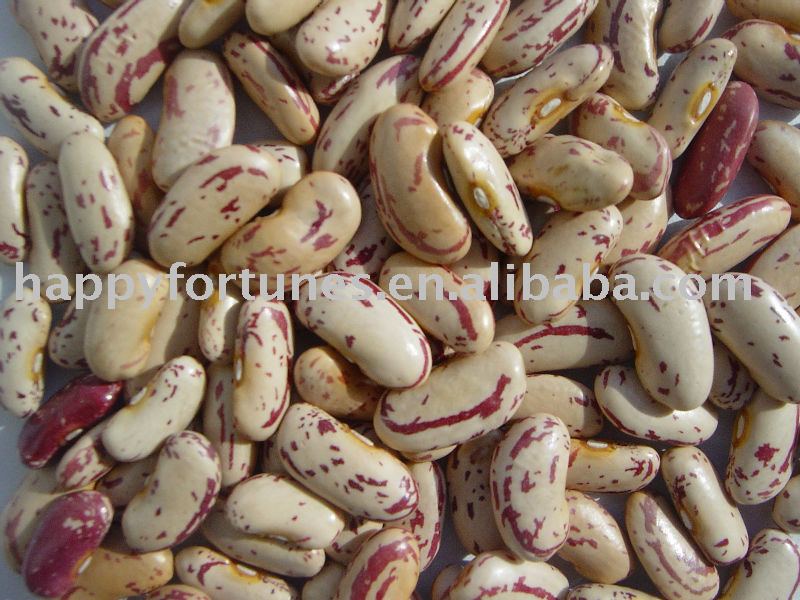 kidney bean light speckled kidney bean canned bean yi'an speckled kidney bean dongbei bean pulse
