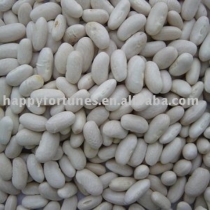  White  kidney  bean s  baishake   white   bean  kidney  bean  canned  bean 