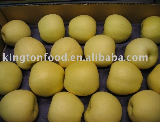 Golden Apple