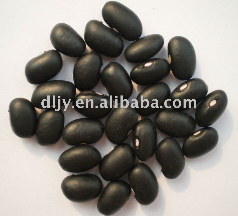 Chinese  Cooked    Beans 