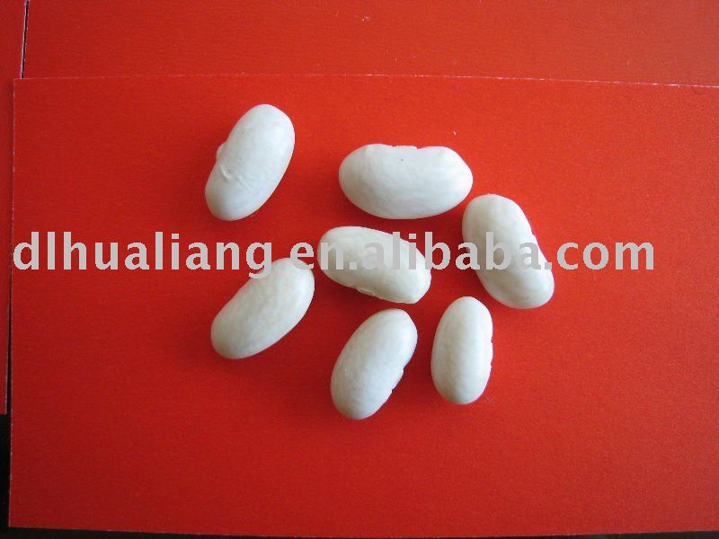 White Kidney beans (Baishake Type)  2010 New Crop