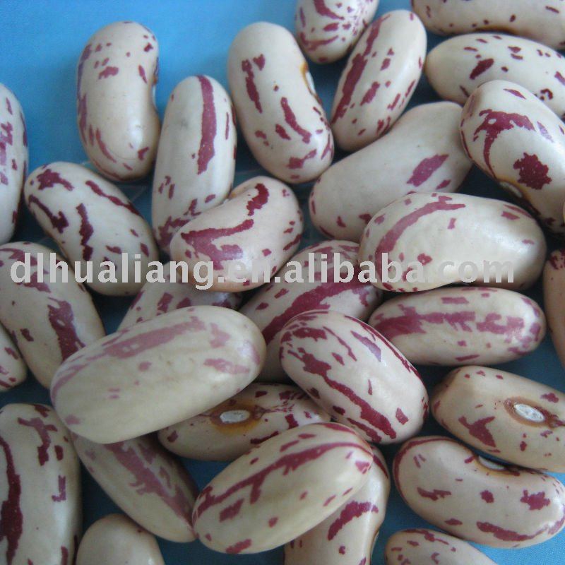 Light kidney  beans