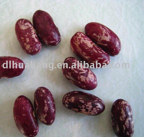 Purple Kidney Beans