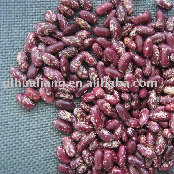 Purple Speckled Kidney beans