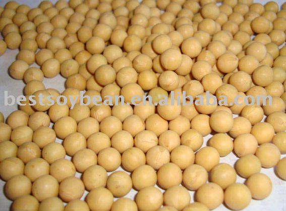 China   NON - GMO   soybean 