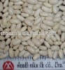 white Kidney Bean  bashake 