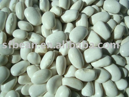 white kidney beans medium type