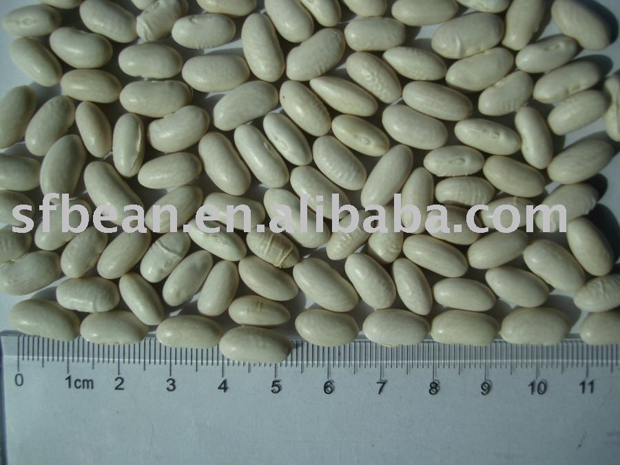White Kidney Beans(Bashake)