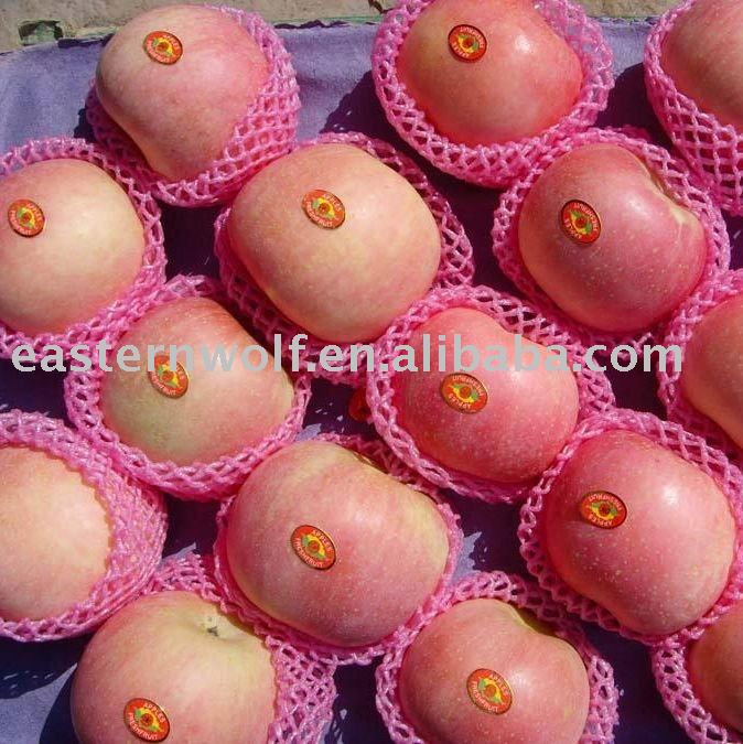  New   Crop   Fresh   Fuji   Apple  in Carton, MOQ:1*40 FCL
