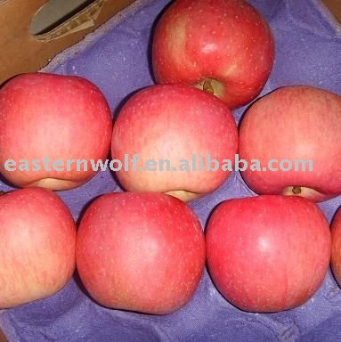  Chinese   Fresh   Red   Fuji   Apple  in Carton