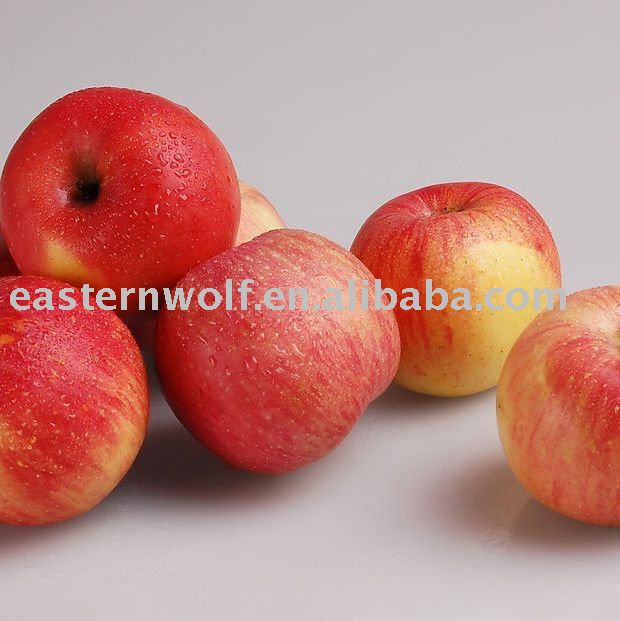  New   Crop   Red   Fuji   Apple  in Carton