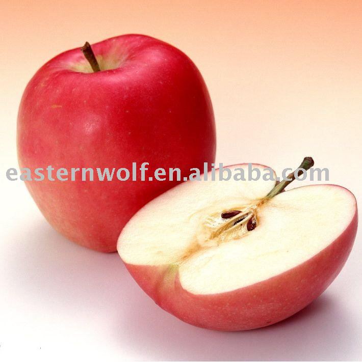New Crop Chinese Red Fuji Apple in Carton