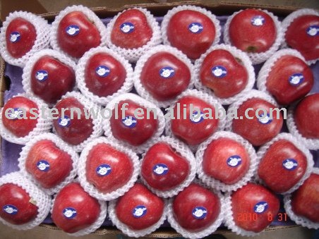 Red delicious Apple in carton package