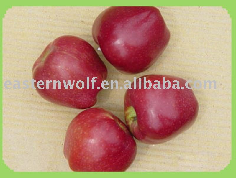 Chinese Red Huaniu Apple in 18 KG/CTN