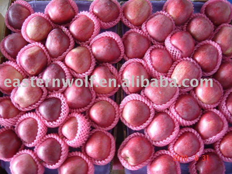 Chinese Red Huaniu Apple in 20 KG/CTN