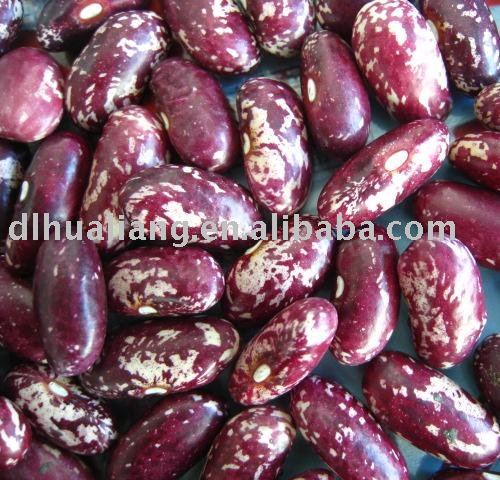  Purple   Beans 
