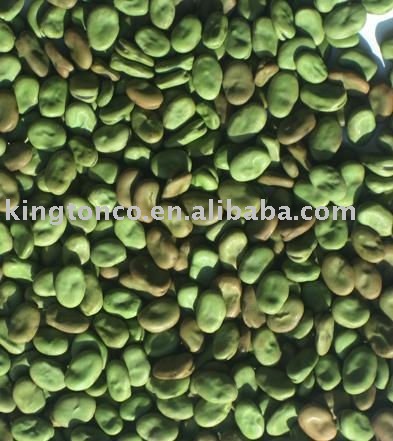 Broad beans faba beans fava beans
