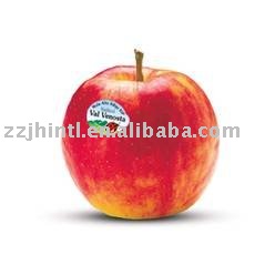  Fresh   Jonagold  Apple