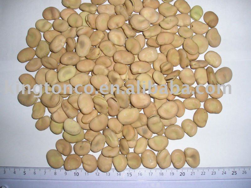Fava beans