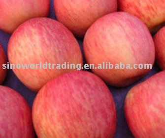 Chinese Fuji Apple