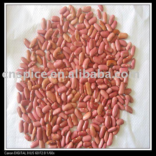 organic Chinese Red Kidney Bean