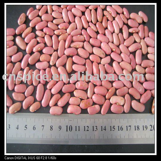 new crop  Chinese   Red   Kidney   Bean s