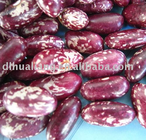 Purple Speckled  Kidney Beans
