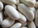 yunnan  middle white kidney beans 180-200/100g