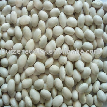 White Kidney Beans, Round Shape