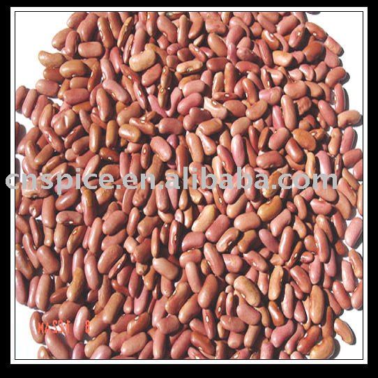 new crop Chinese Red Kidney Bean