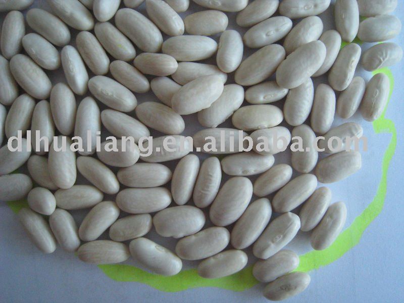  Baishake   White   Bean s