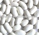 white kidney beans alubia