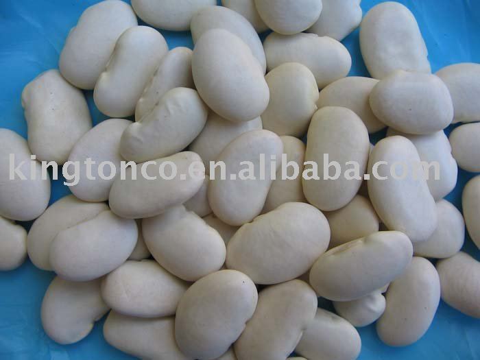LARGE TYPE WHITE KIDNEY BEANS