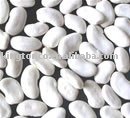 white kidney beans flat shape