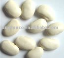 large white kidney bean