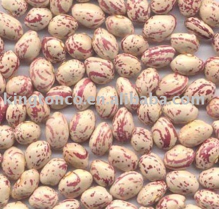 cranberry beans