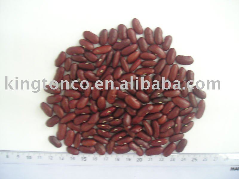 SHANXI DARK RED KIDNEY BEANS