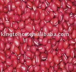  RED   MUNG  BEANS/ADZUKI