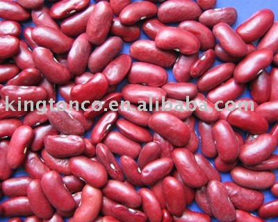 CHINA DARK RED KIDNEY BEANS