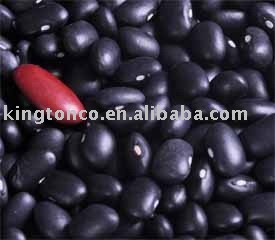 BLACK TURTLE BEANS