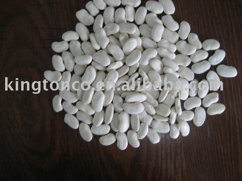 CHINA FLAT WHITE KIDNEY BEANS