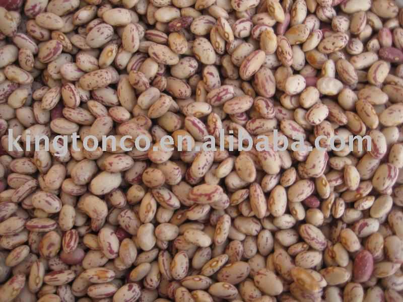 CHINA CRANBERRY BEANS