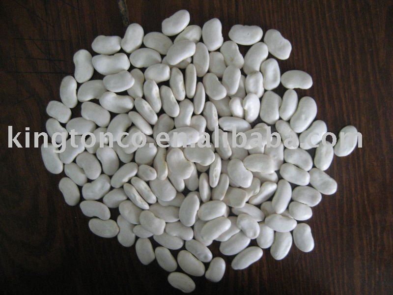 YUNNAN FLAT WHITE KIDNEY BEANS