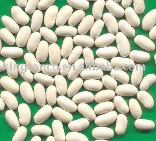 baishake type white bean