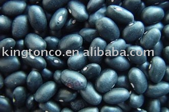 small  black   turtle   beans 