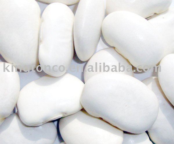  LARGE   WHITE   BEAN S