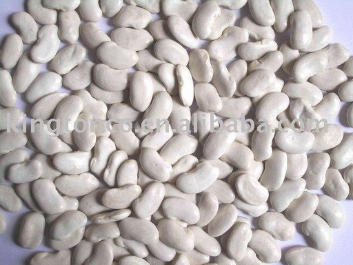2010 crop  FLAT   WHITE   KIDNEY   BEANS 