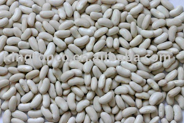 white kidney bean baishake type