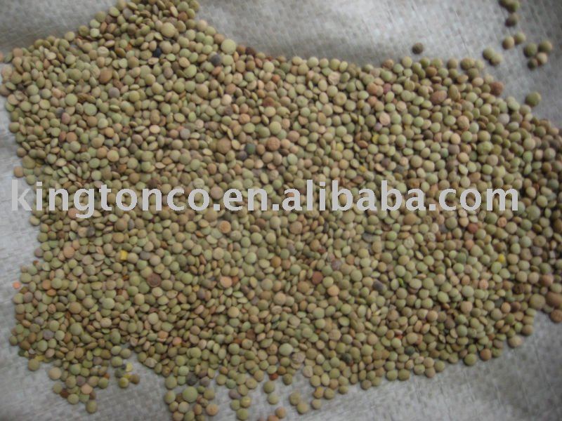 whole green LENTIL with husk